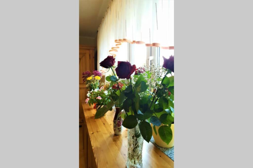 Fewo Radeberg Apartment